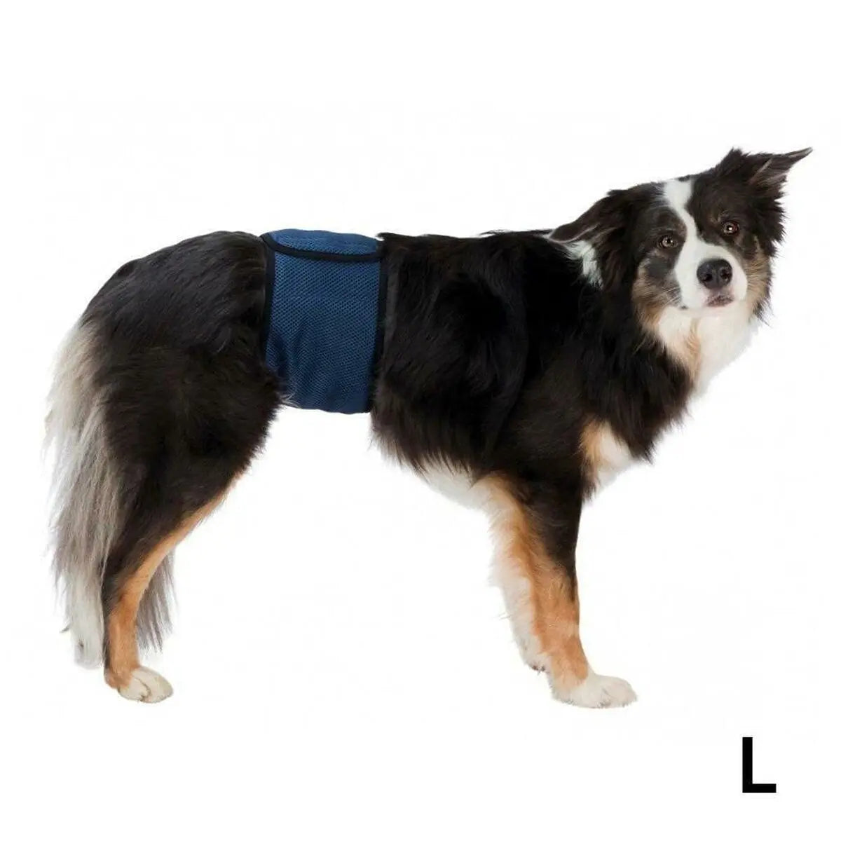 Incontinence Protector Trixie Male Plug Abdomen Trixie