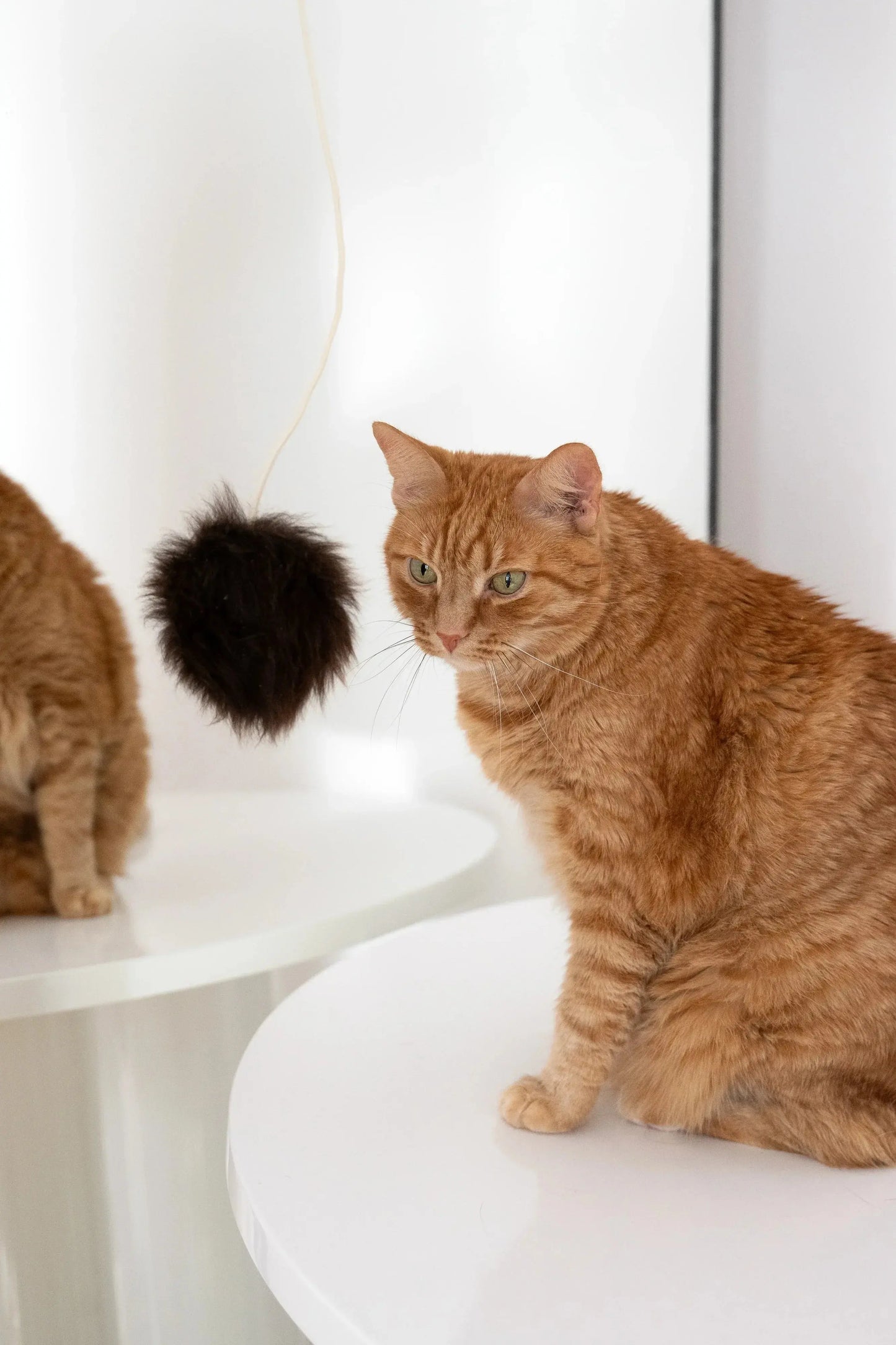 Natural Sheepskin Cat Toy: Ball Mellow Pet Store