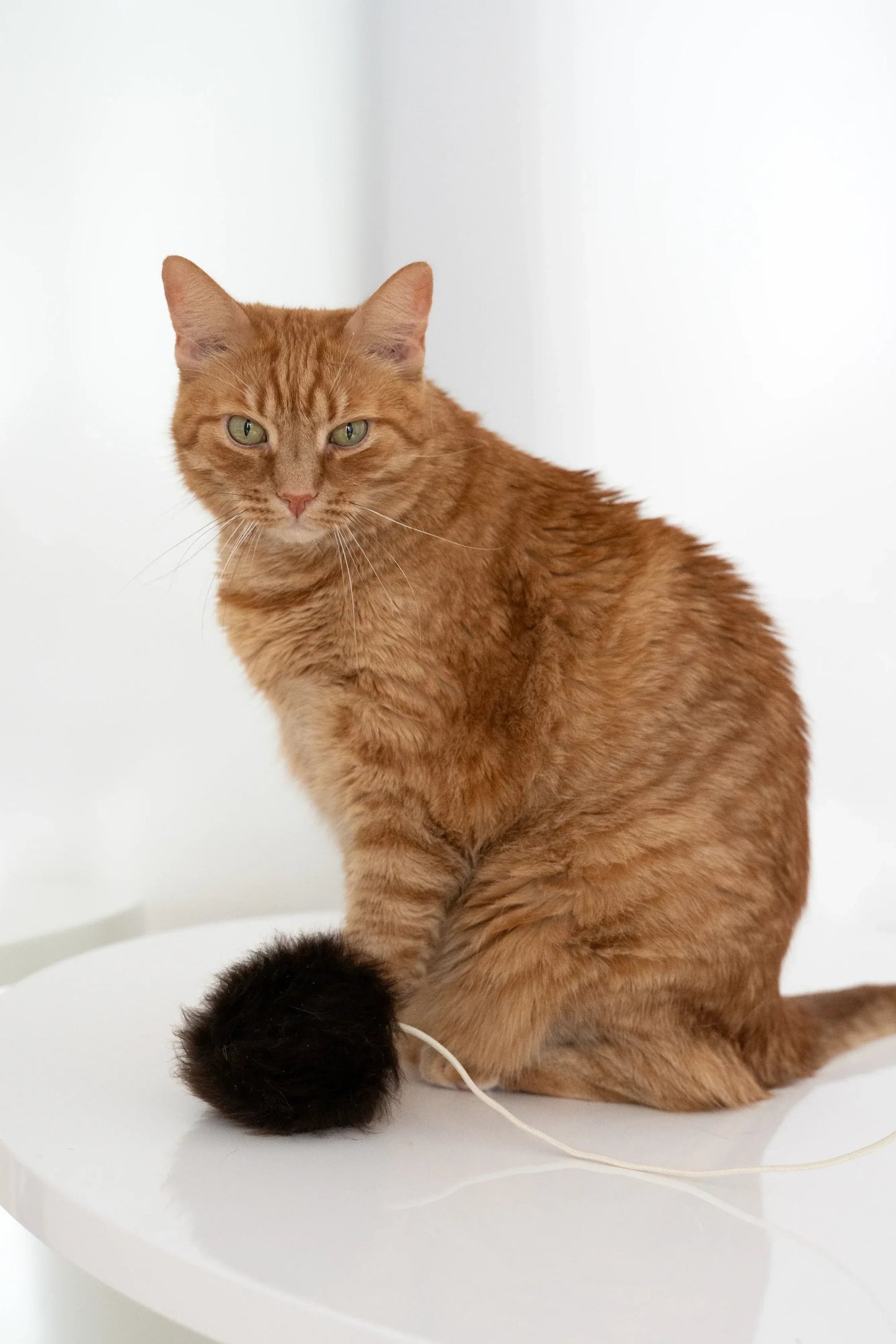 Natural Woolen Cat Toy: Ball Mellow Pet Store