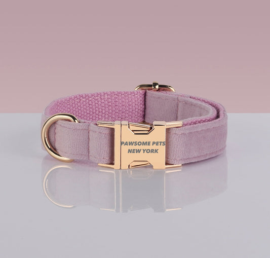 Pawsome Pets Hondenhalsband Verstelbare Nylonriem Met Snelsluiting Voor Honden En Katten