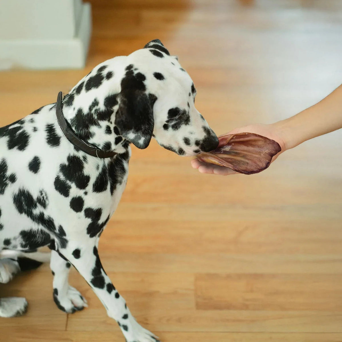 Woef Woef Snackbox L Gezonde Hondensnacks Voor Grote Honden