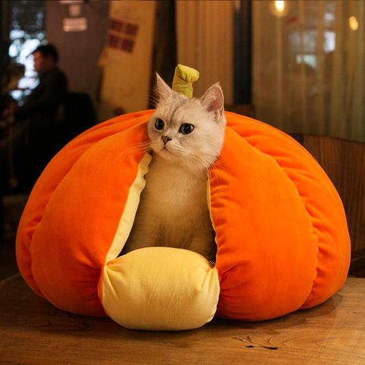 Extra Pluche Pompoen Kattenbed