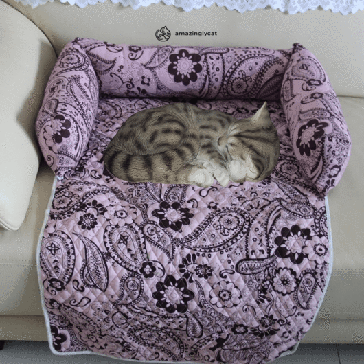 Meubelbeschermend Kattenkussen – Comfortabel & Zacht