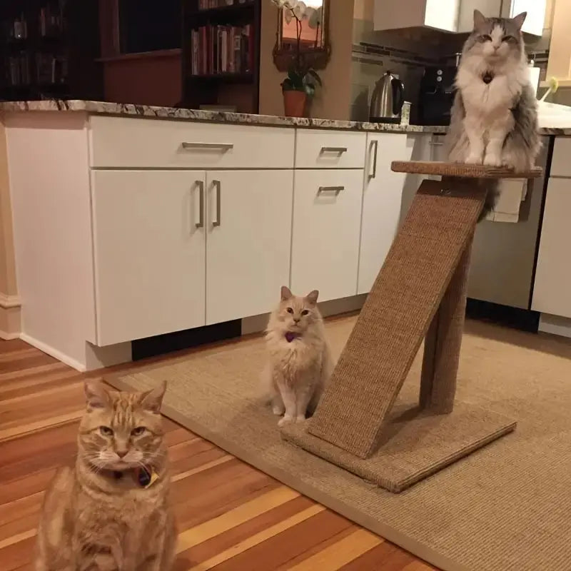 Premium Natural Sisal Cat Scratcher Mat: Durable Protection for Your Furniture CAN