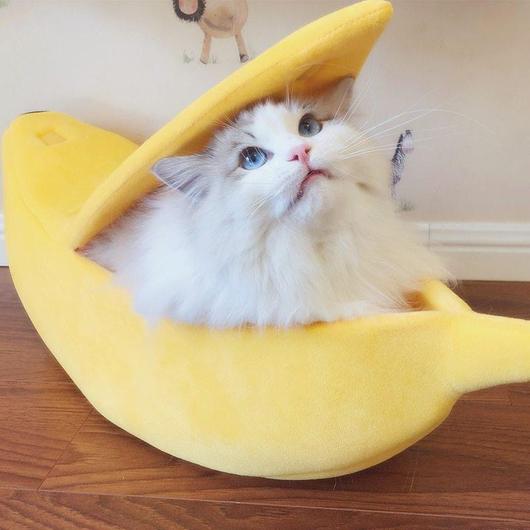 Schattig Banaan Kattenbed