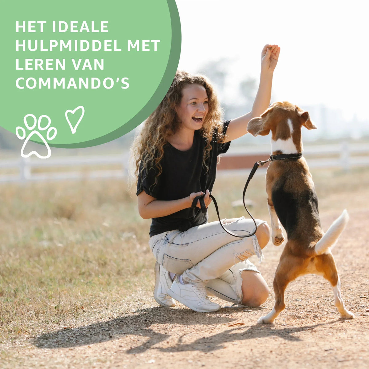 Natuurlijke Herten Trainingssnacks Voor Puppies Graanvrij