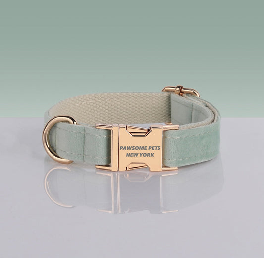 Pawsome Hondenhalsband Nylon Verstelbaar Met Snelle Sluiting Voor Hond En Kat Pawsome Pets New York