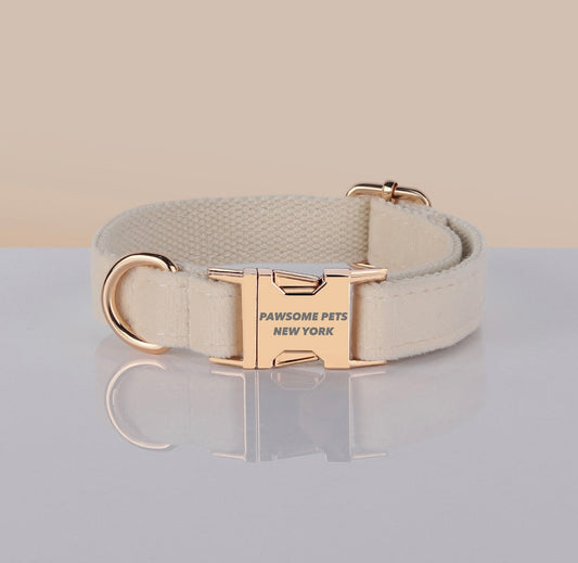Pawsome Hondenhalsband Verstelbaar Nylon Webbing Met Snelle Sluiting Voor Hondenliefhebbers