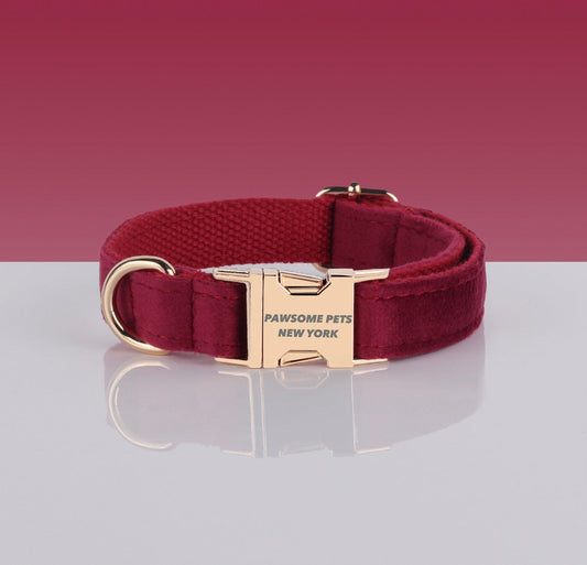 Pawsome Hondenhalsband Verstelbaar Van Nylon Met Snelle Sluiting Duurzaam Ontworpen Voor Hondenliefhebbers