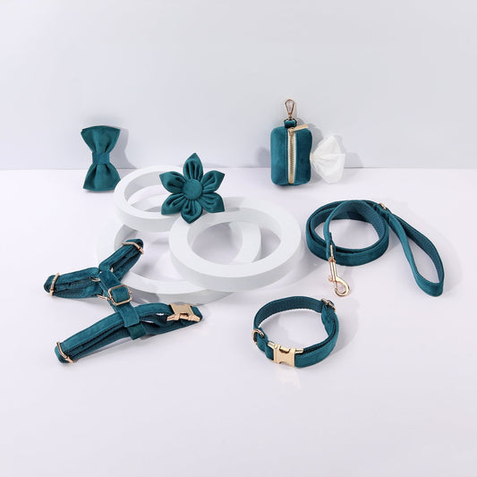 Step-In Floral Bundel Pauwblauw Zes Delige Wandelset Voor Honden En Kattenliefhebbers Pawsome Pets New York