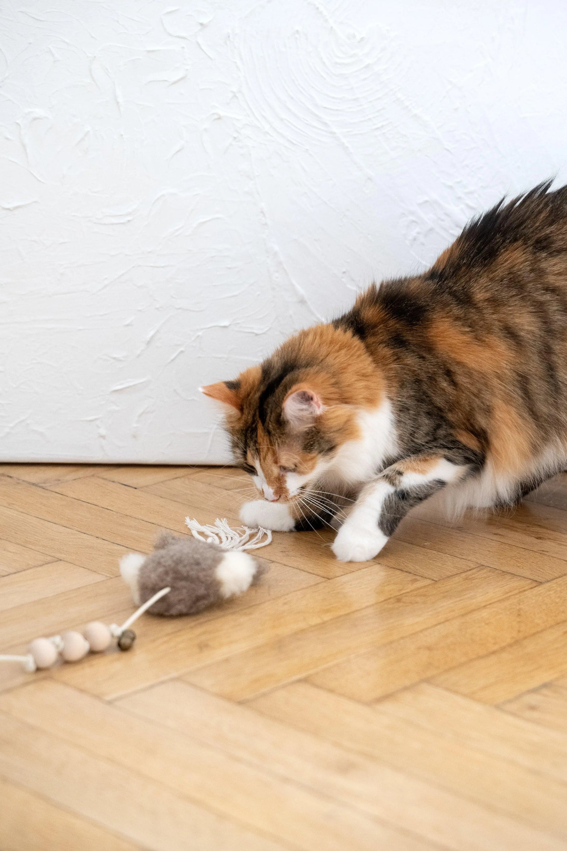 Natural Sheepskin Cat Toy: Squid Mellow Pet Store