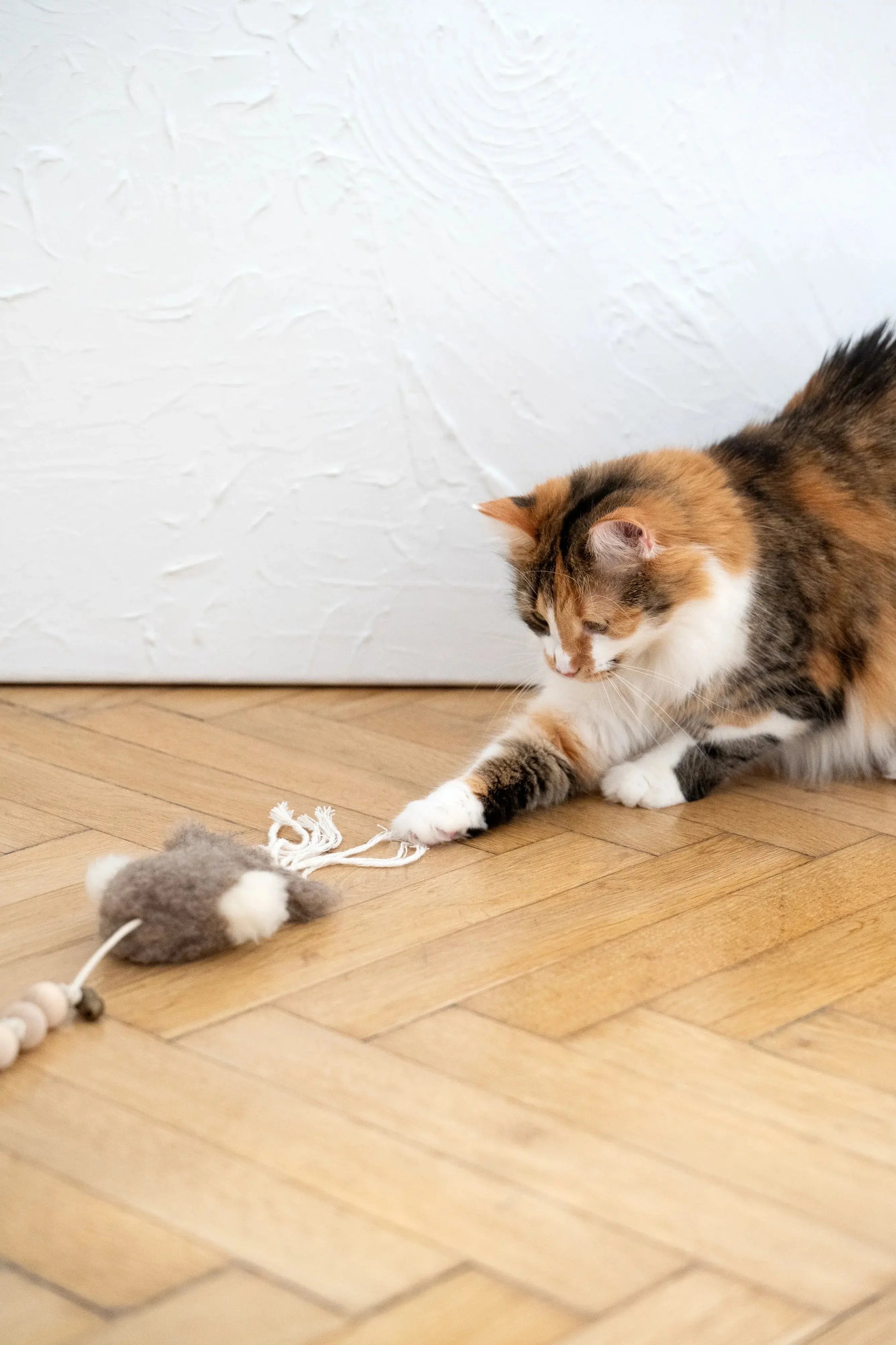 Natural Sheepskin Cat Toy: Squid Mellow Pet Store