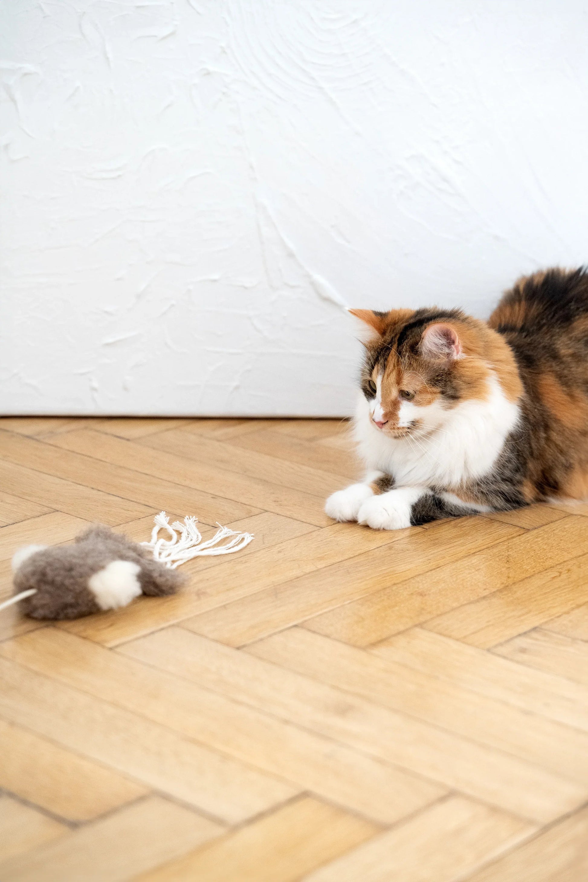 Natural Sheepskin Cat Toy: Squid Mellow Pet Store