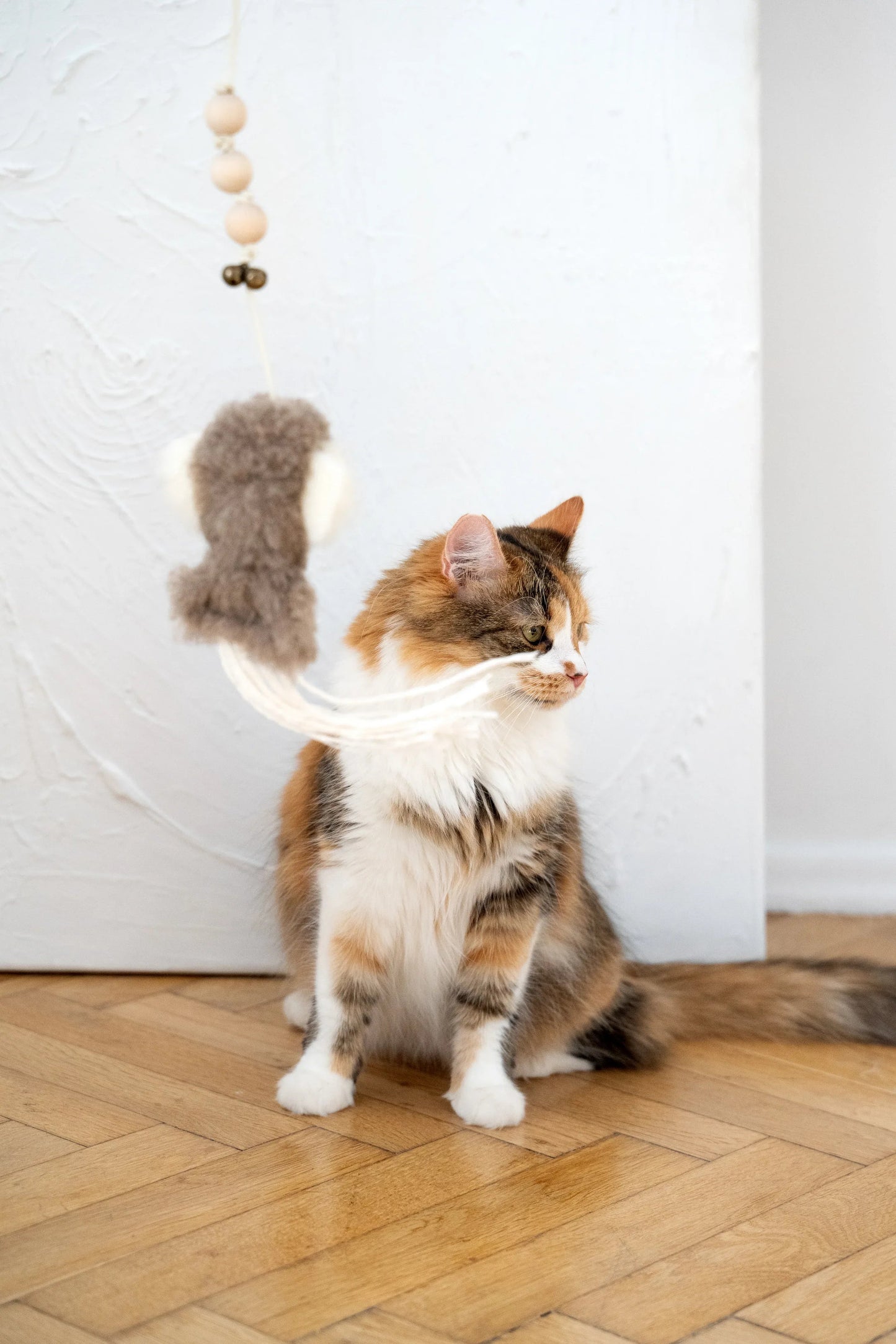 Natural Sheepskin Cat Toy: Squid Mellow Pet Store