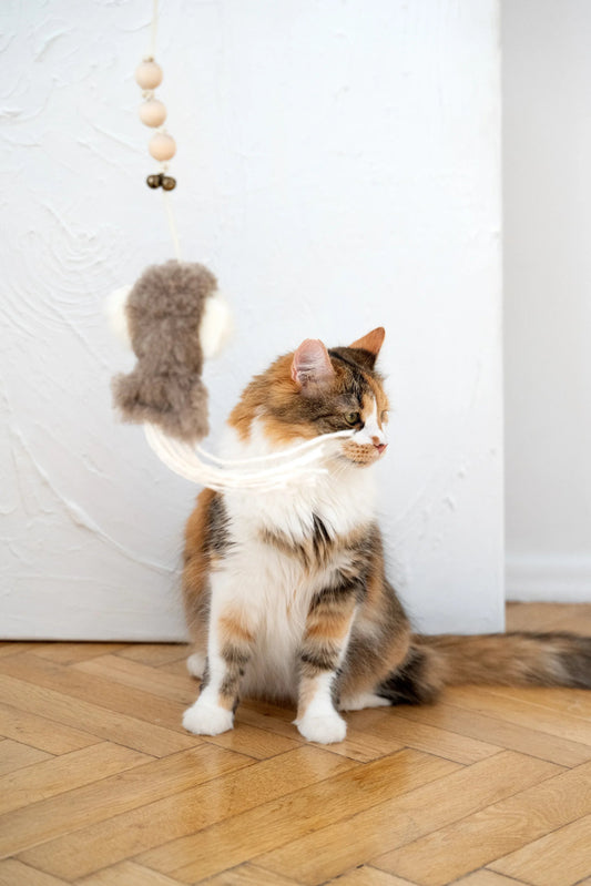 Natural Sheepskin Cat Toy: Squid Mellow Pet Store