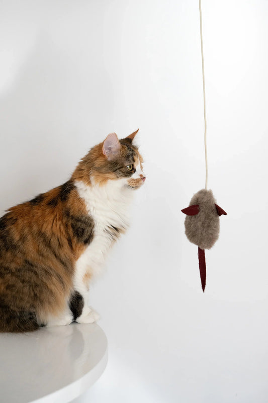 Natural Woolen Cat Toy: Mouse Mellow Pet Store