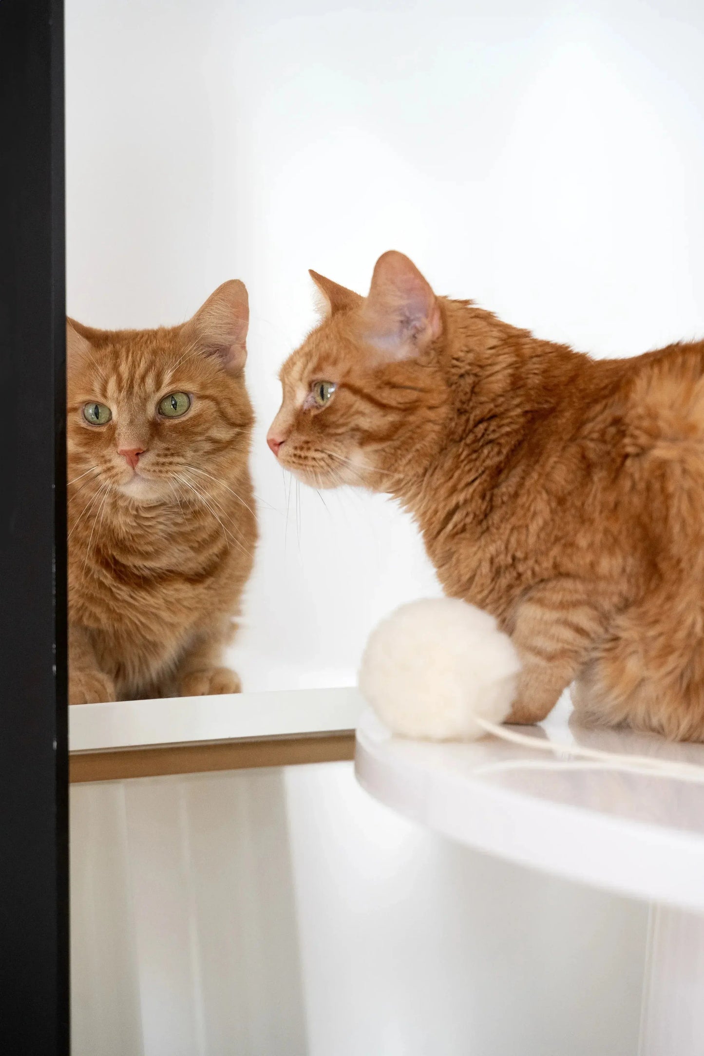 Natural Sheepskin Cat Toy: Ball Mellow Pet Store