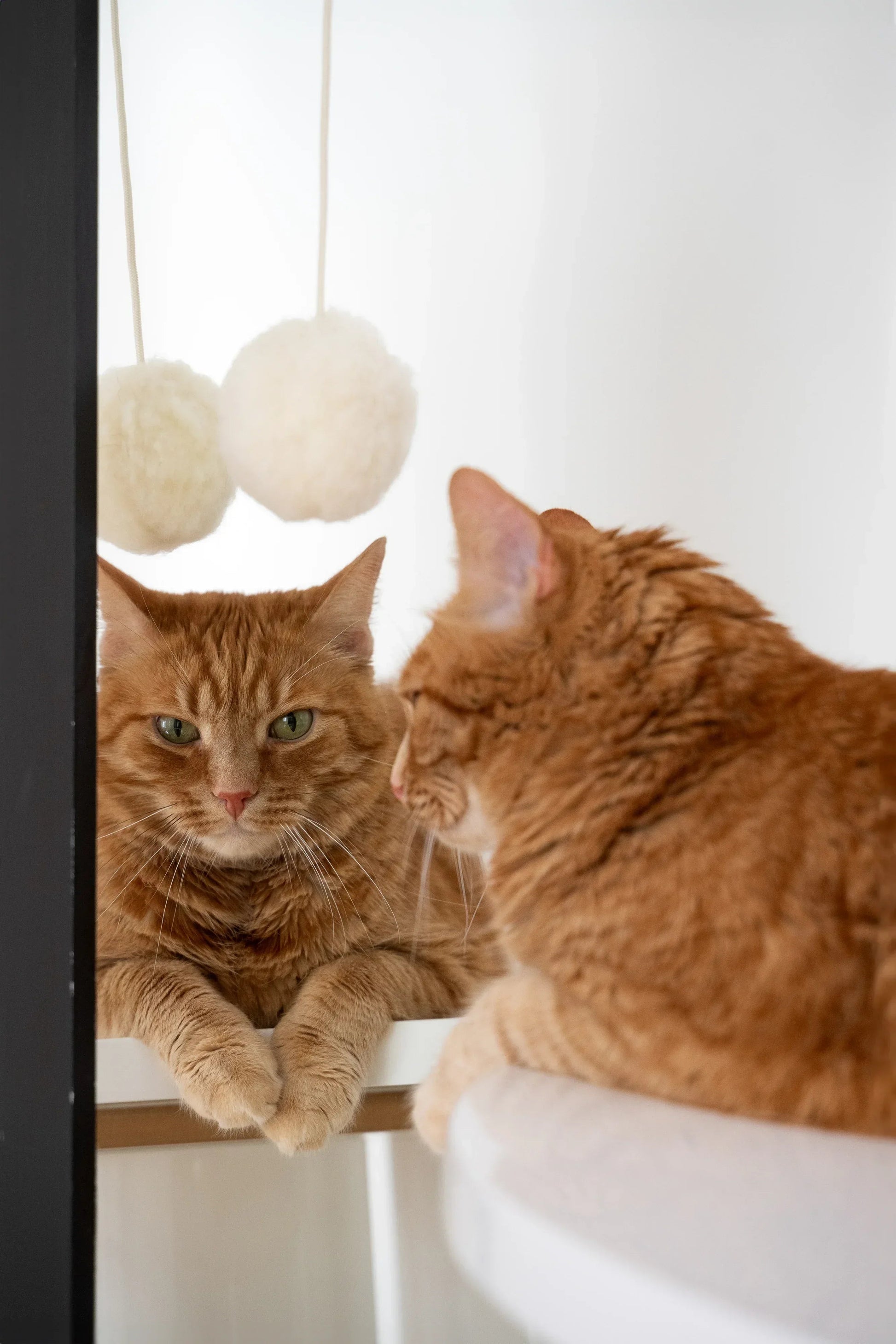 Natural Woolen Cat Toy: Ball Mellow Pet Store
