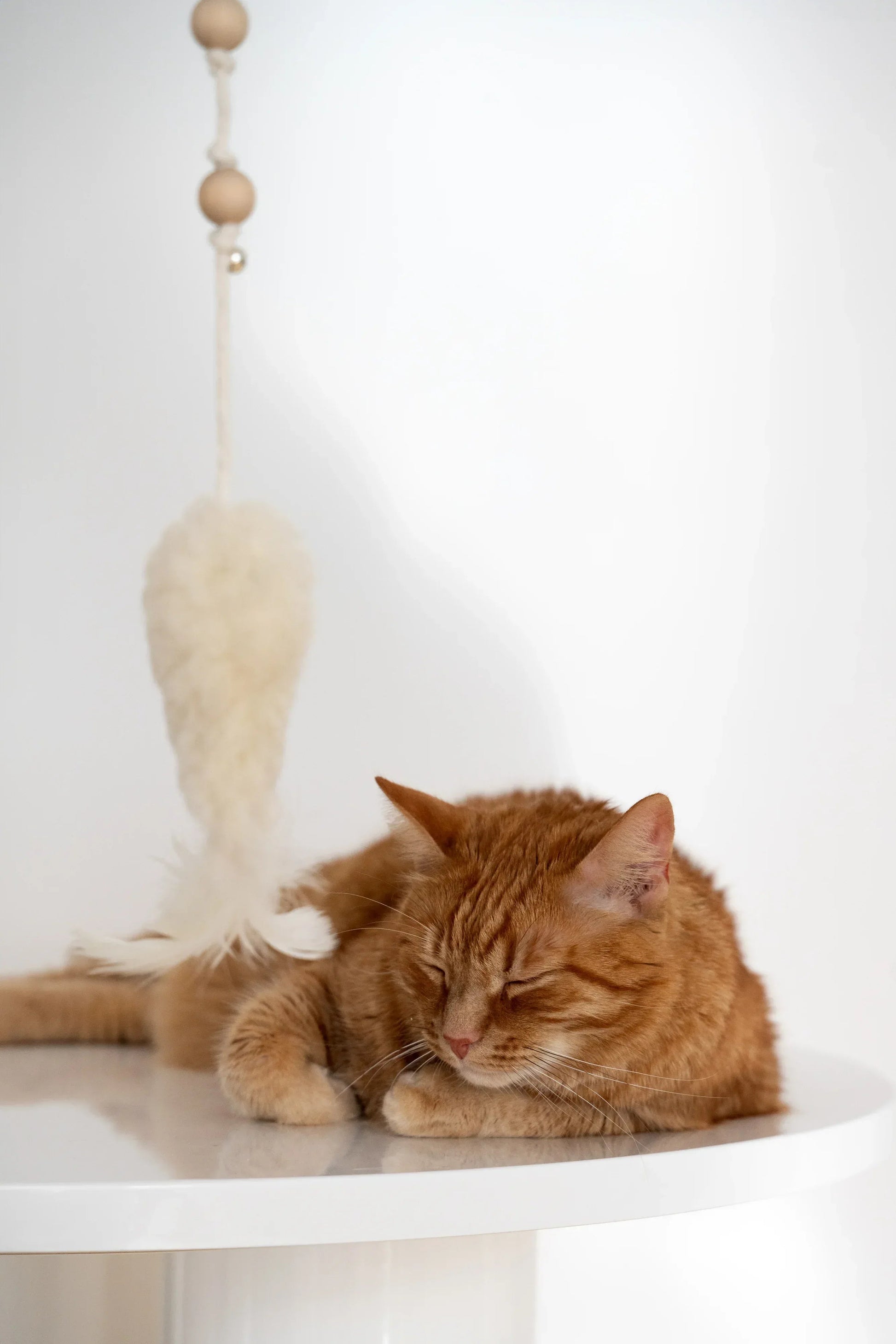 Natural Woolen Cat Toy: Fish Mellow Pet Store