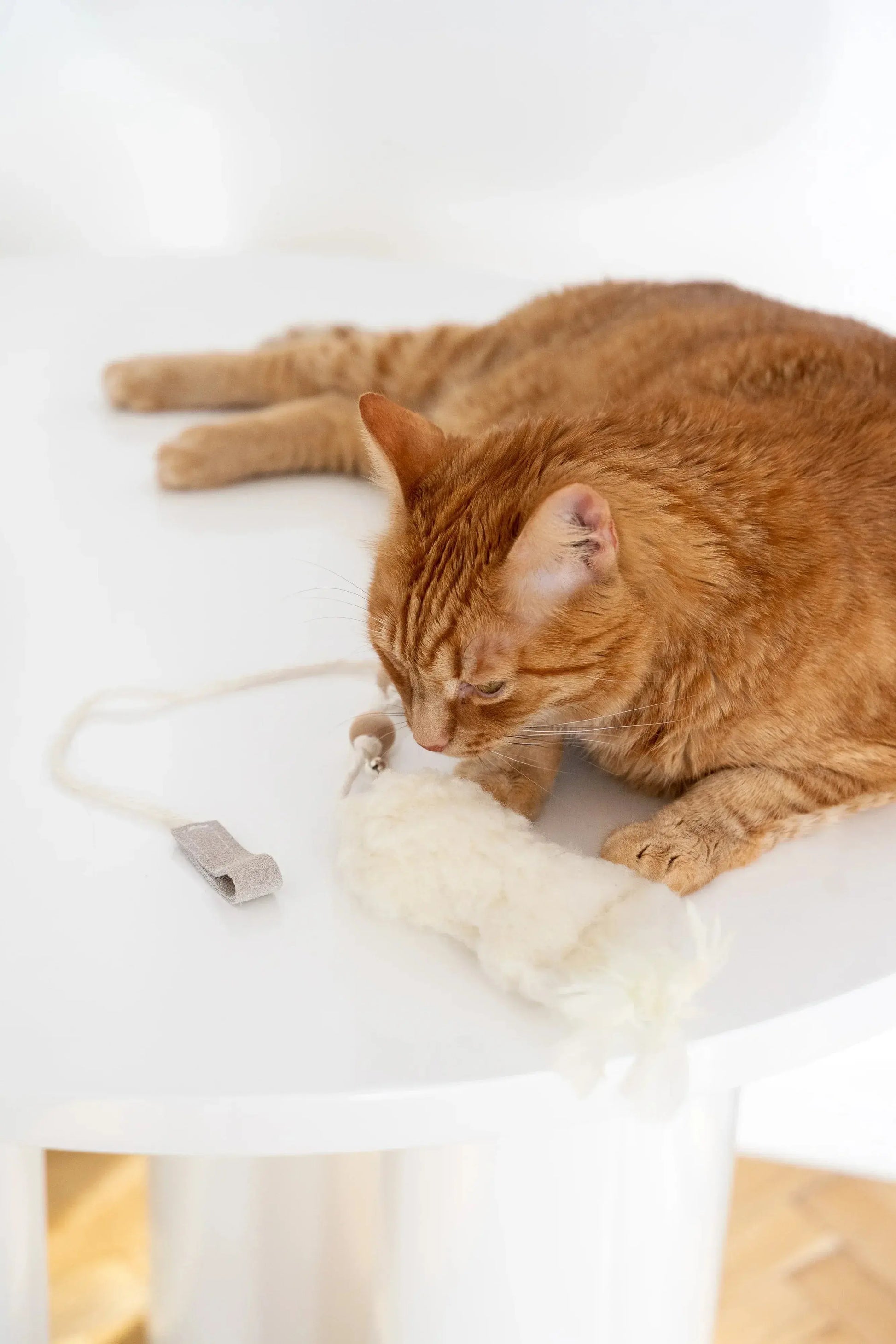 Natural Woolen Cat Toy: Fish Mellow Pet Store