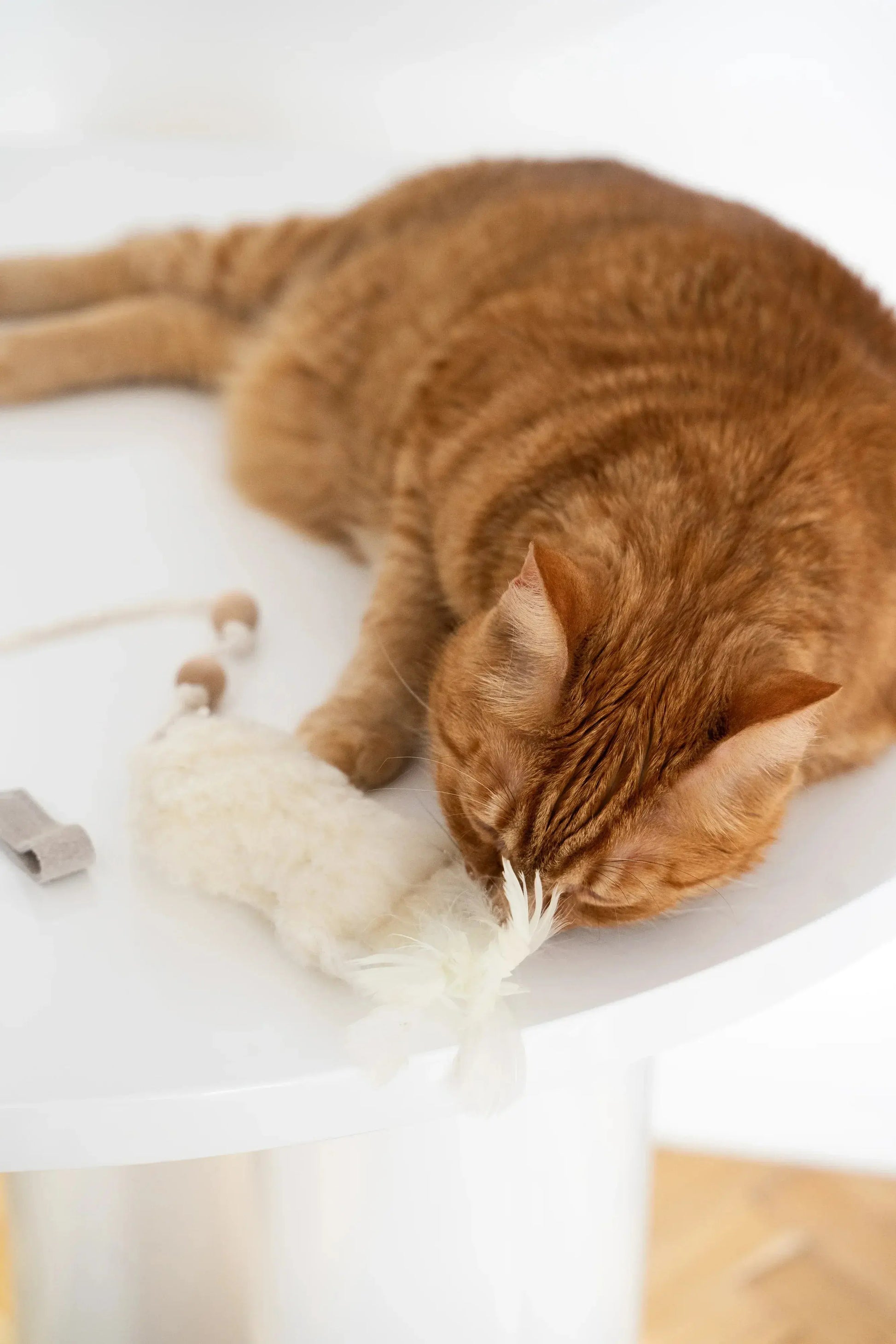 Natural Woolen Cat Toy: Fish Mellow Pet Store