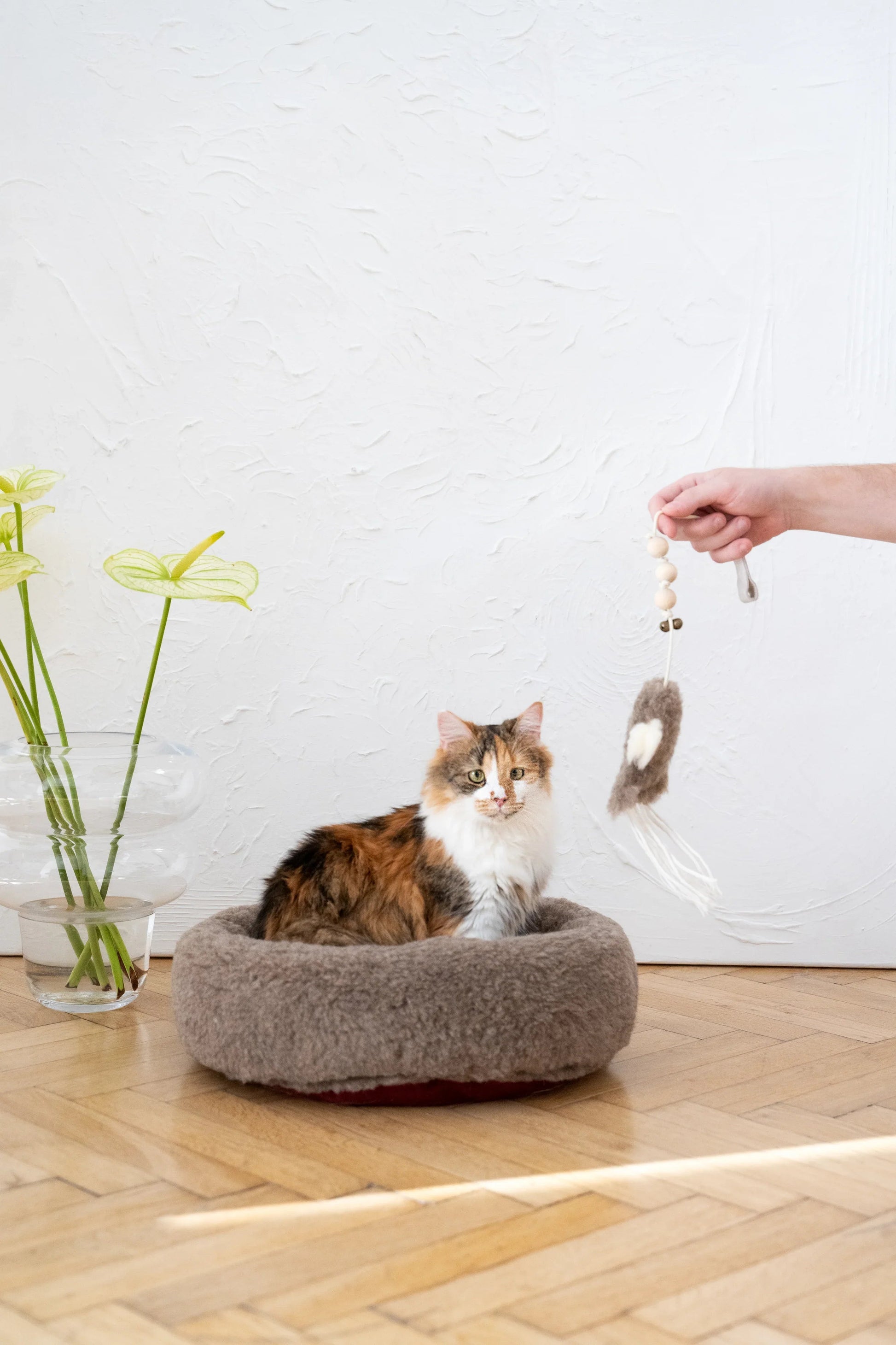 Natural Sheepskin Cat Toy: Squid Mellow Pet Store