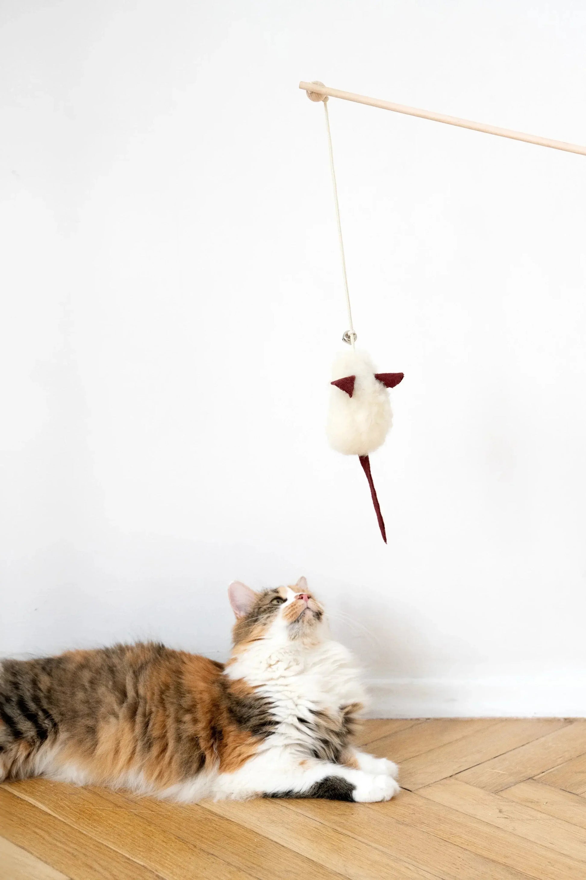 Natural Woolen Cat Toy: Mouse Mellow Pet Store