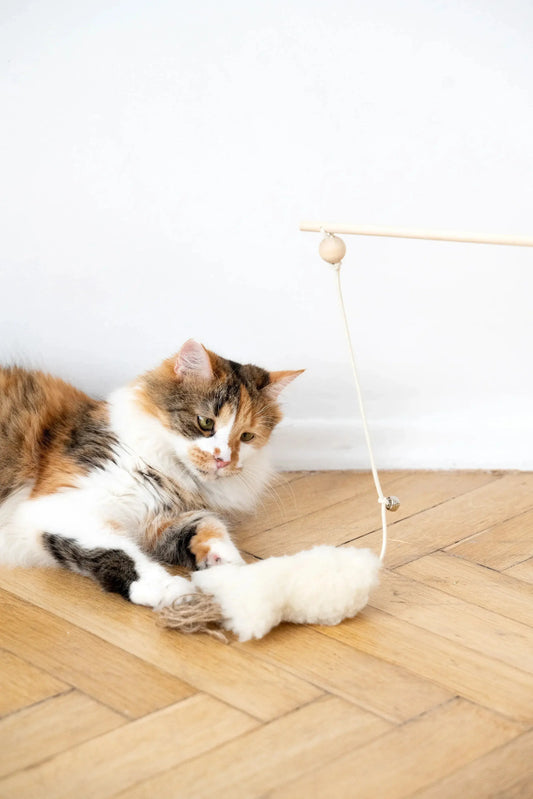 Natural Woolen Cat Toy: Fish Mellow Pet Store