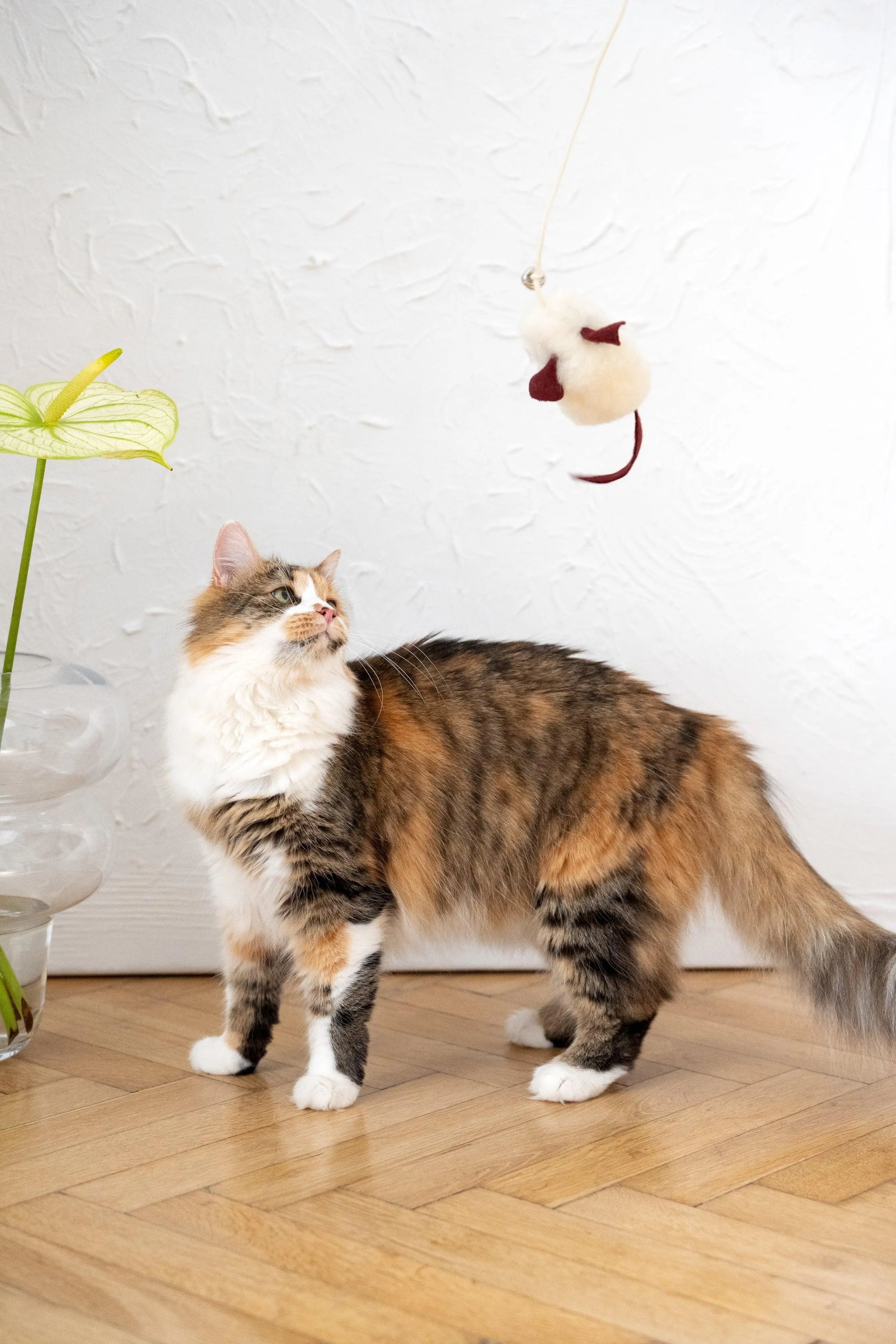 Natural Woolen Cat Toy: Mouse Mellow Pet Store