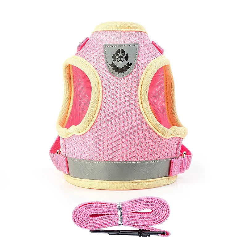 Puppy Harness and Leash Set for Small Dogs