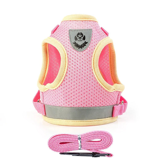 Cashymart Puppy Tuig En Riem Set Voor Kleine Honden Comfortabel En Veilig Ontworpen Voor Dagelijkse Wandelingen
