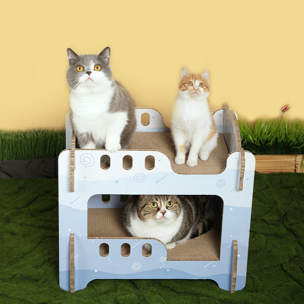 Boys' Dormitory Blue Cat Scratching Board Tiny Pet