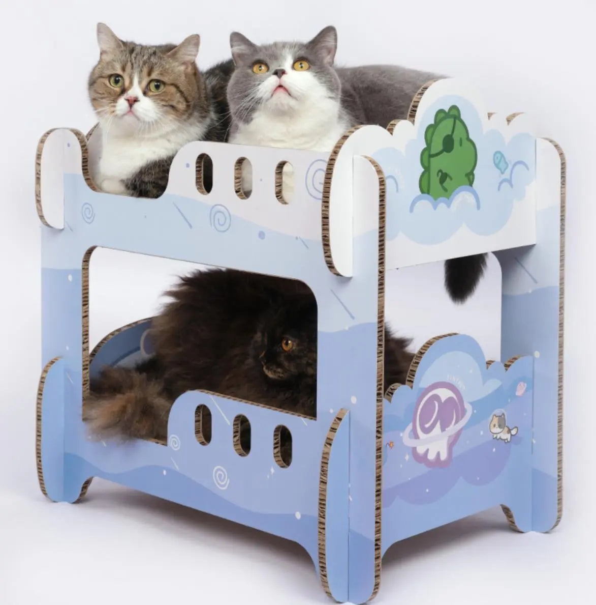 Boys' Dormitory Blue Cat Scratching Board Tiny Pet