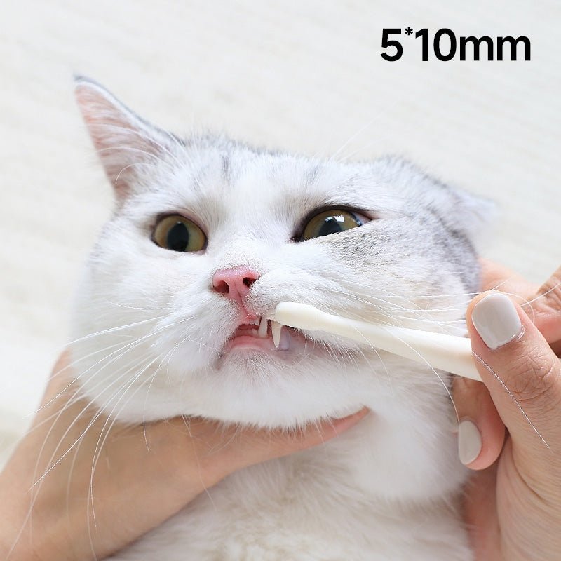 Small 7-Head Soft Bristle Pet Toothbrush for Cats & Small Dogs-2