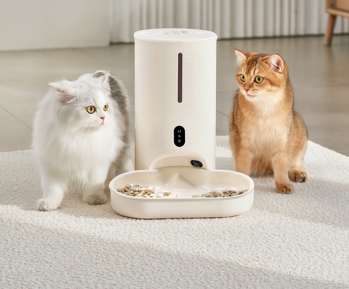 Smart Automatic Pet Feeder with Camera & App Control - 4L Capacity Meoof