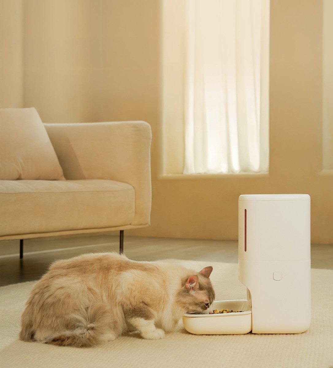 Smart Privacy Camera Automatic Pet Feeder Meoof
