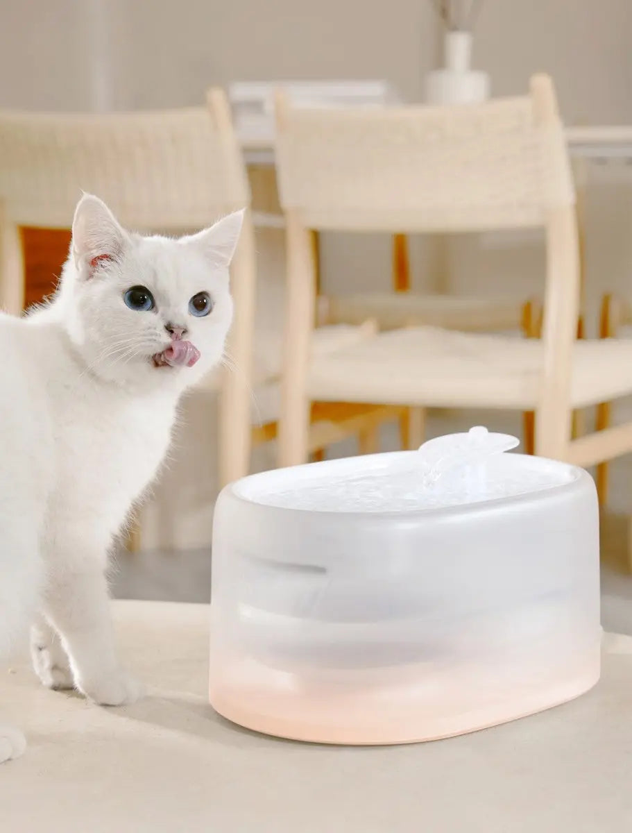 Smart UVC Sterilizing Heated Cat Water Fountain Meoof