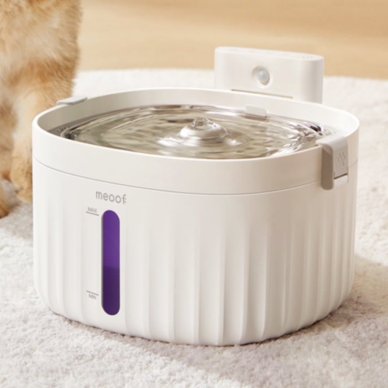 Wireless Smart Sensor Pet Water Fountain with Ceramic Plate Meoof