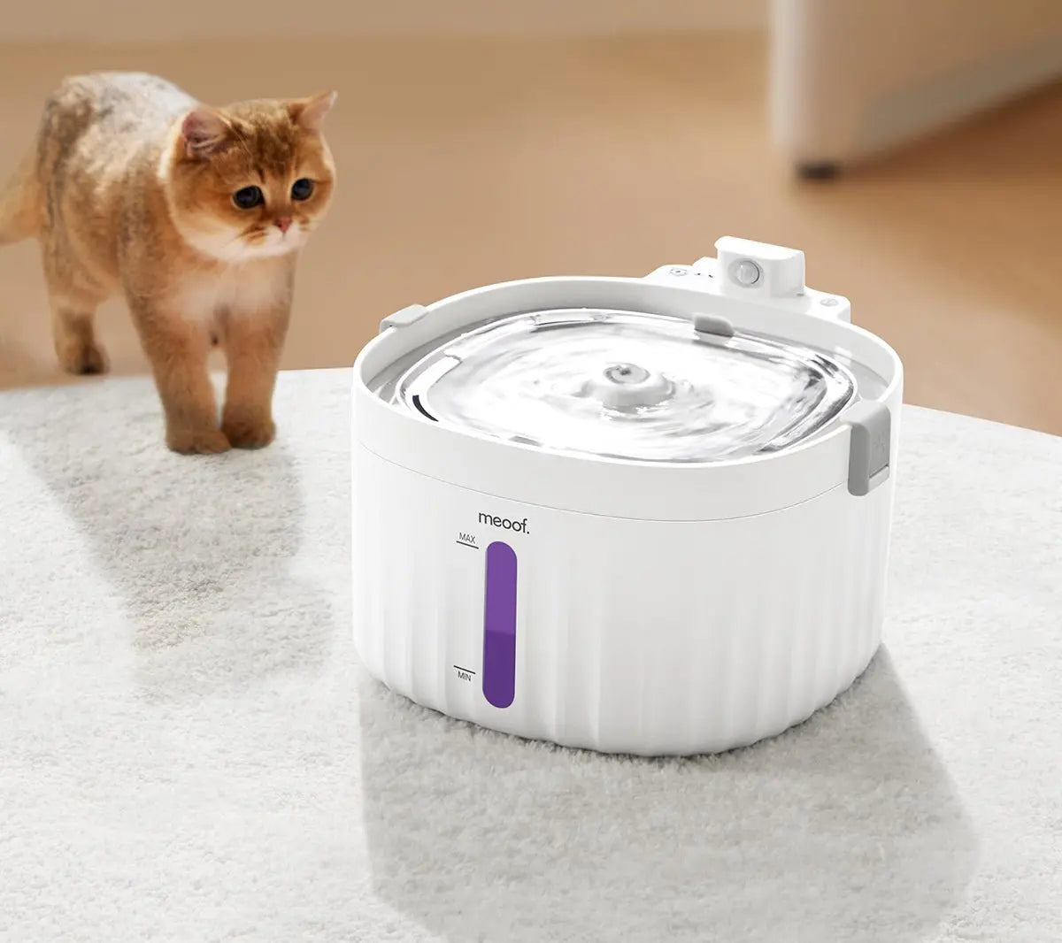 Wireless Smart Sensor Pet Water Fountain with Ceramic Plate Meoof