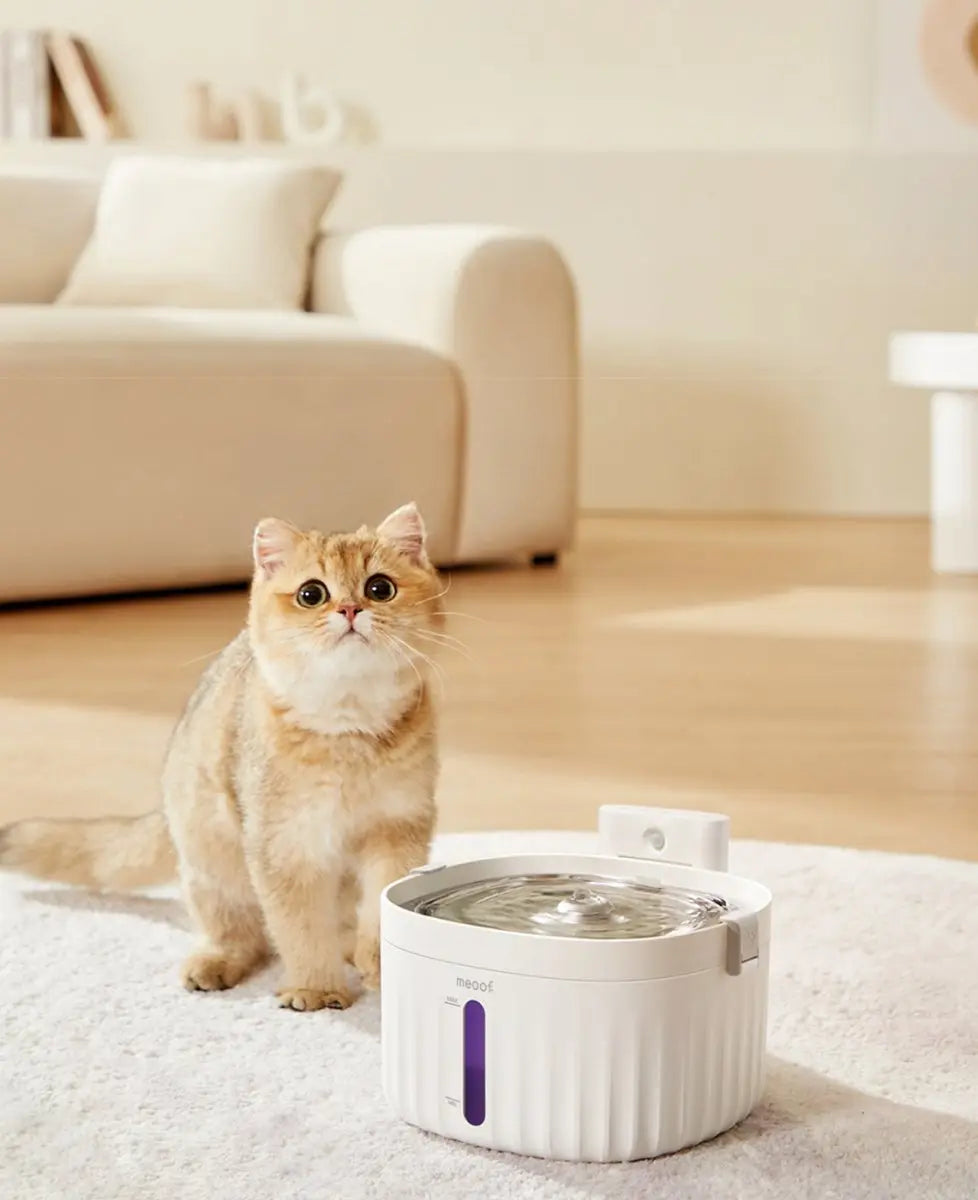 Wireless Smart Sensor Pet Water Fountain with Ceramic Plate Meoof