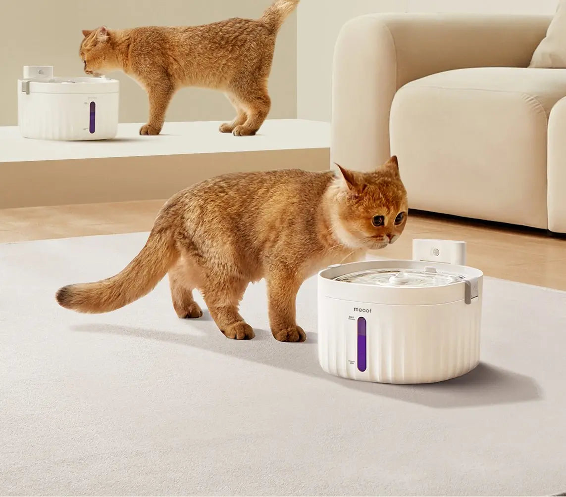 Wireless Smart Sensor Pet Water Fountain with Ceramic Plate Meoof